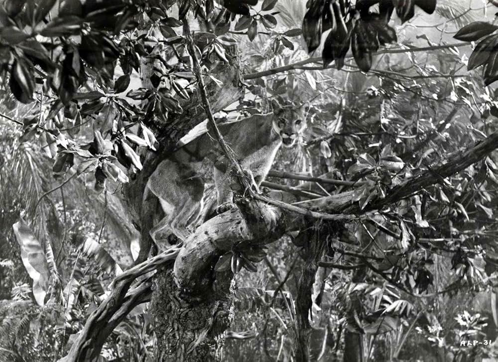 地獄の道連れの画像