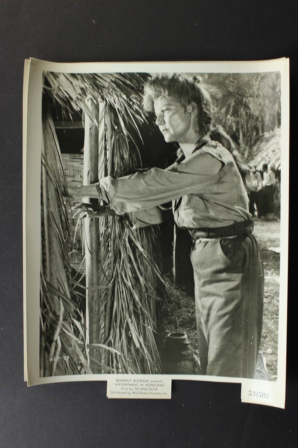 地獄の道連れの画像