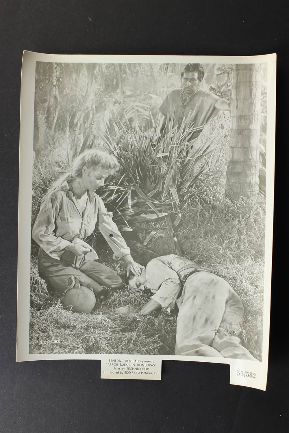 地獄の道連れの画像