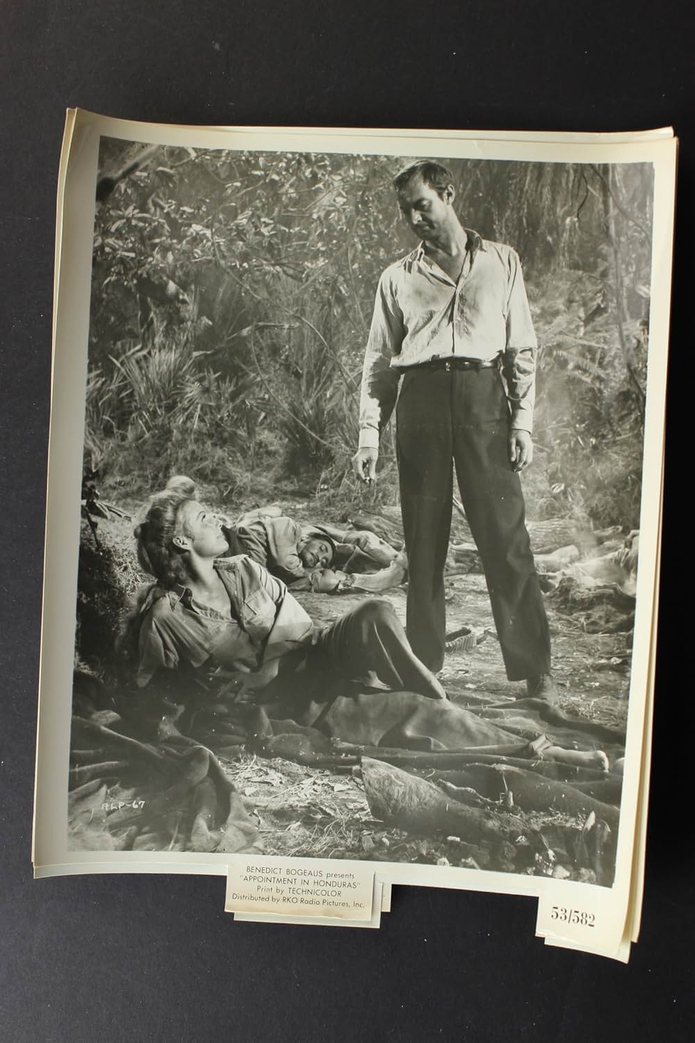 地獄の道連れの画像