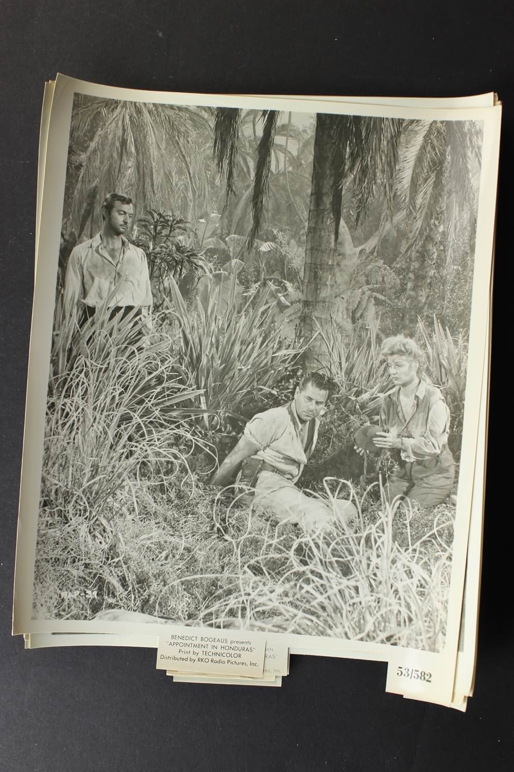 地獄の道連れの画像