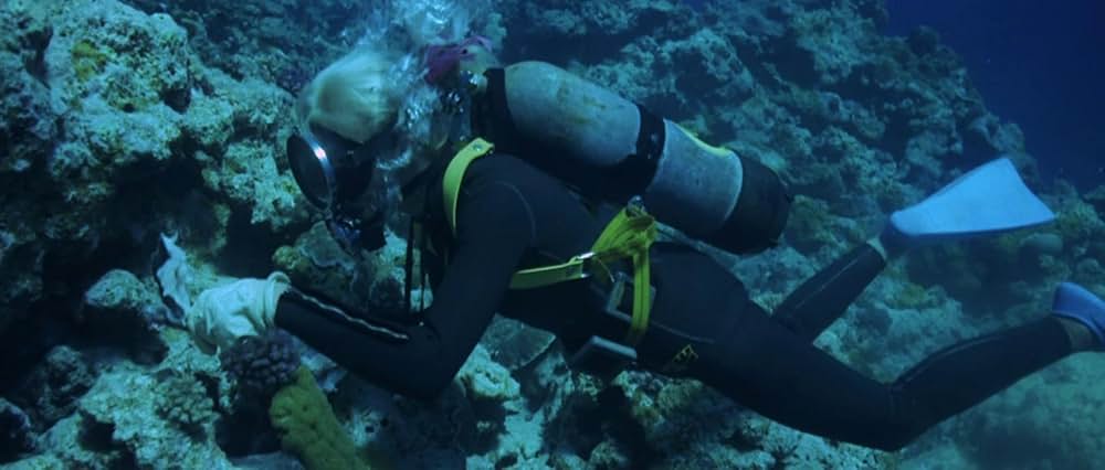 青い海と白い鮫の画像