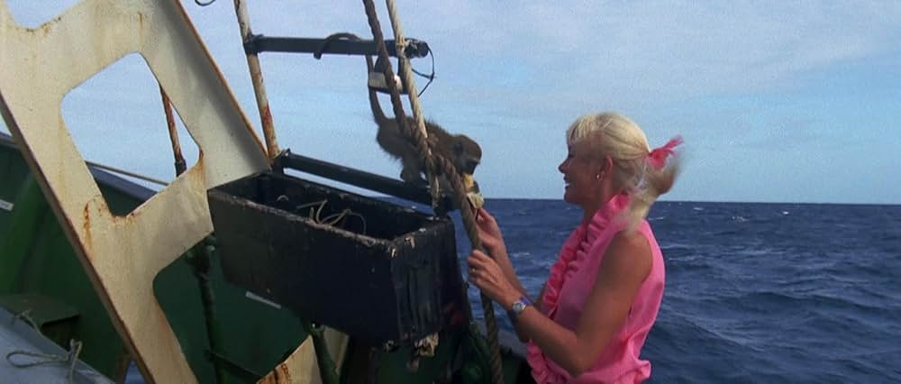 青い海と白い鮫の画像