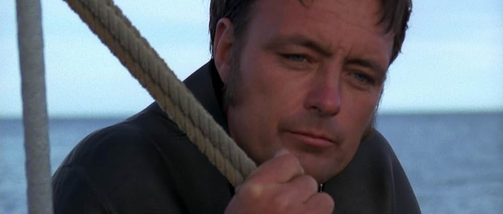 青い海と白い鮫の画像