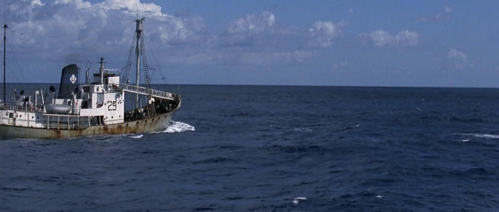 青い海と白い鮫の画像