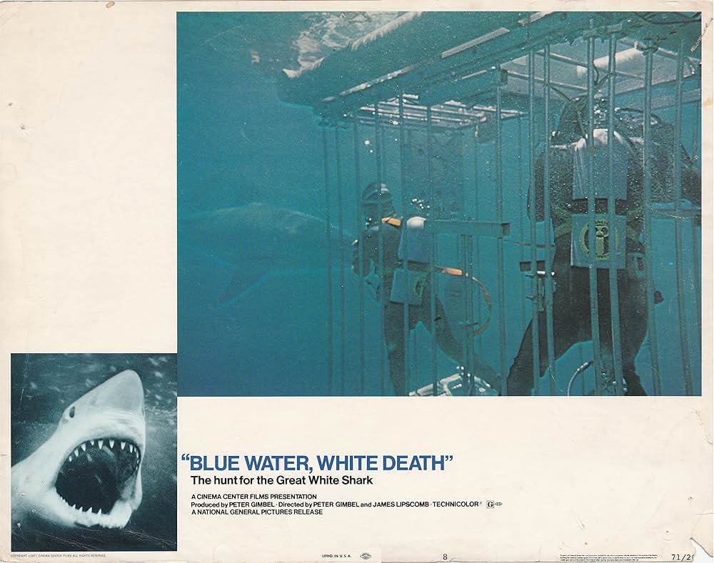 青い海と白い鮫の画像