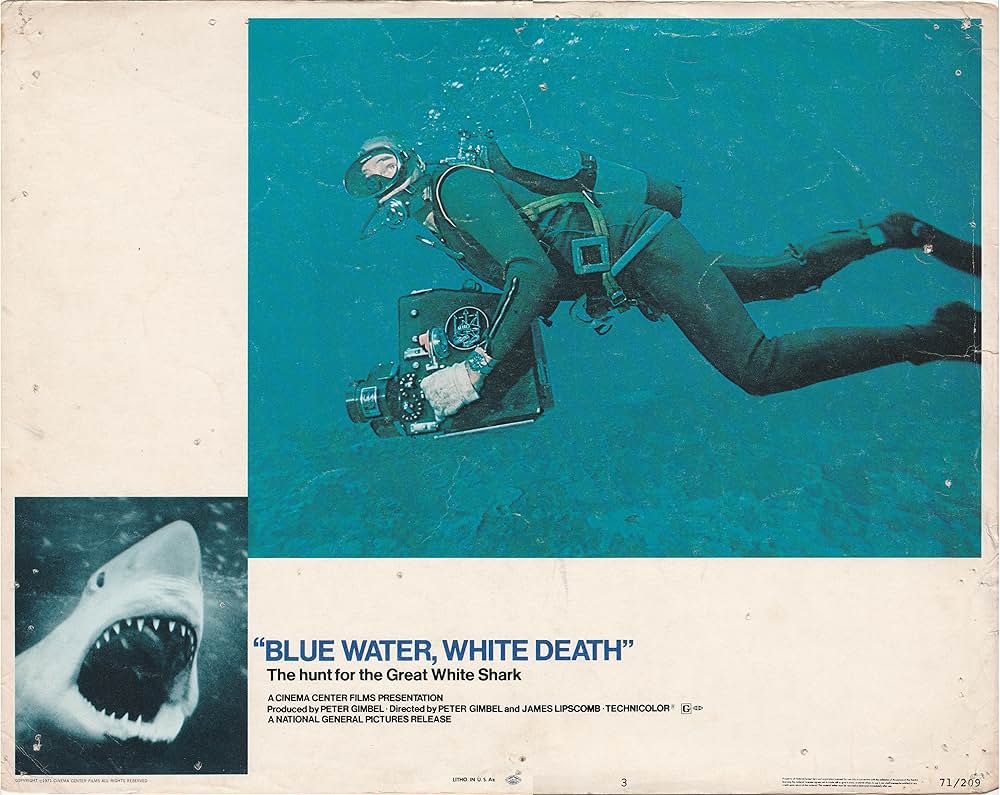 青い海と白い鮫の画像