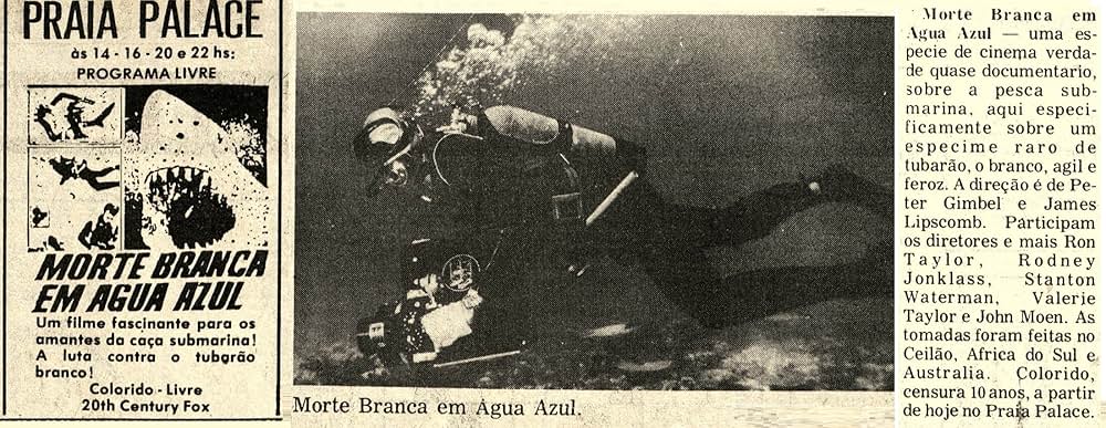 青い海と白い鮫の画像