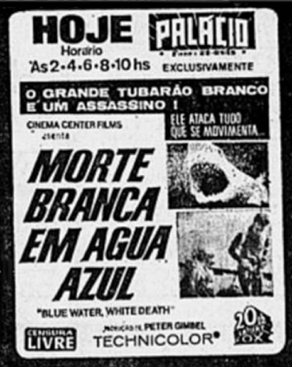 青い海と白い鮫の画像