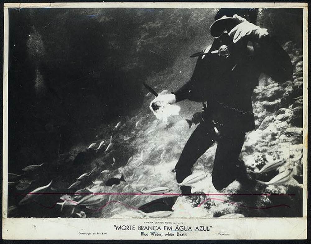 青い海と白い鮫の画像