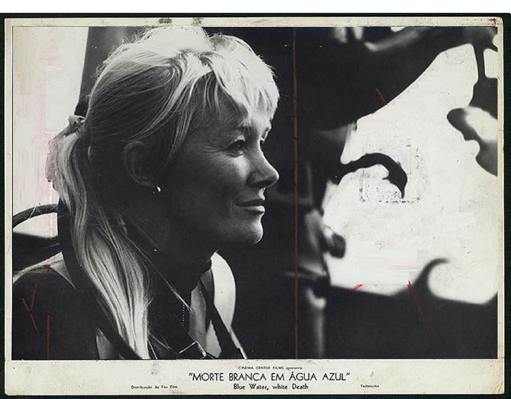 青い海と白い鮫の画像