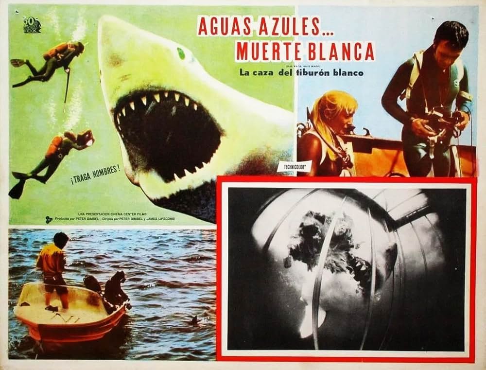 青い海と白い鮫の画像