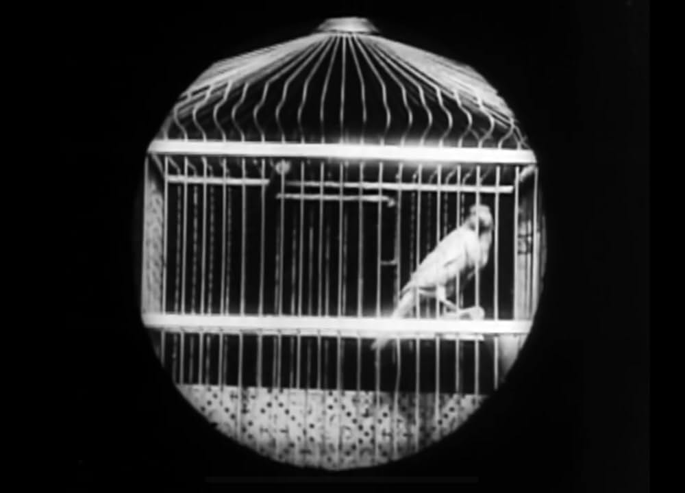 おばあさんの虫眼鏡の画像