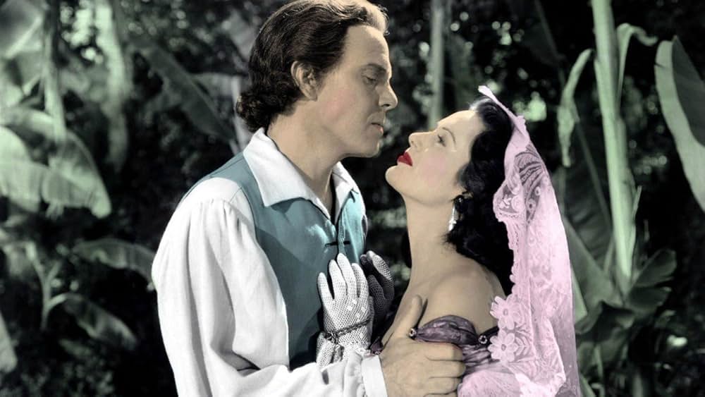 海賊船長の画像