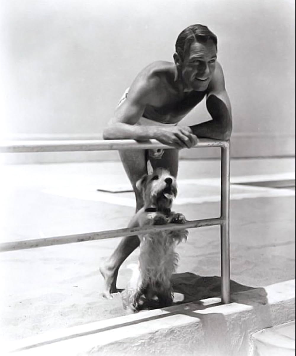 たくましき男の画像