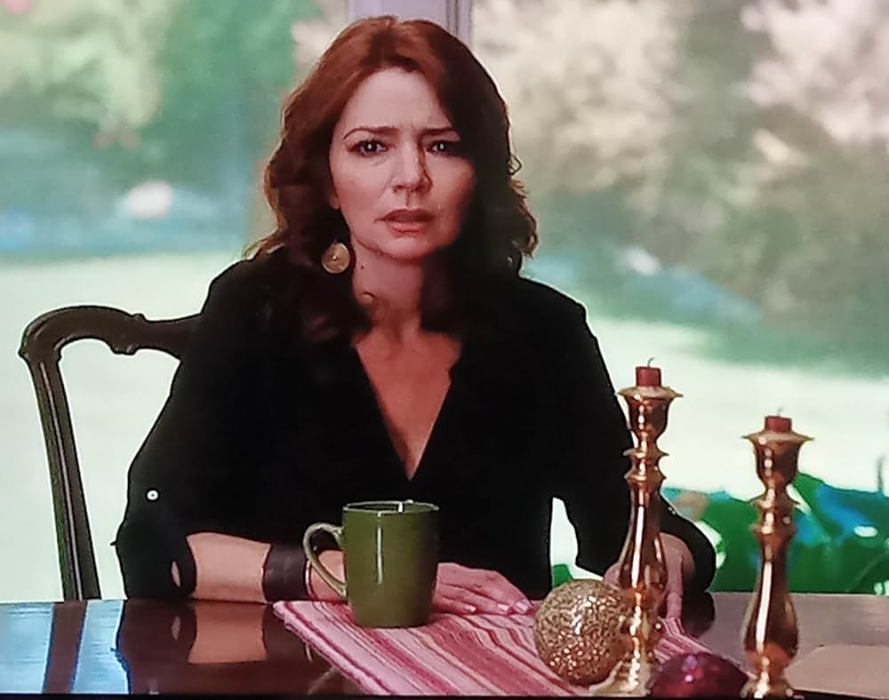 シークレット・パスト 隠された過去の画像