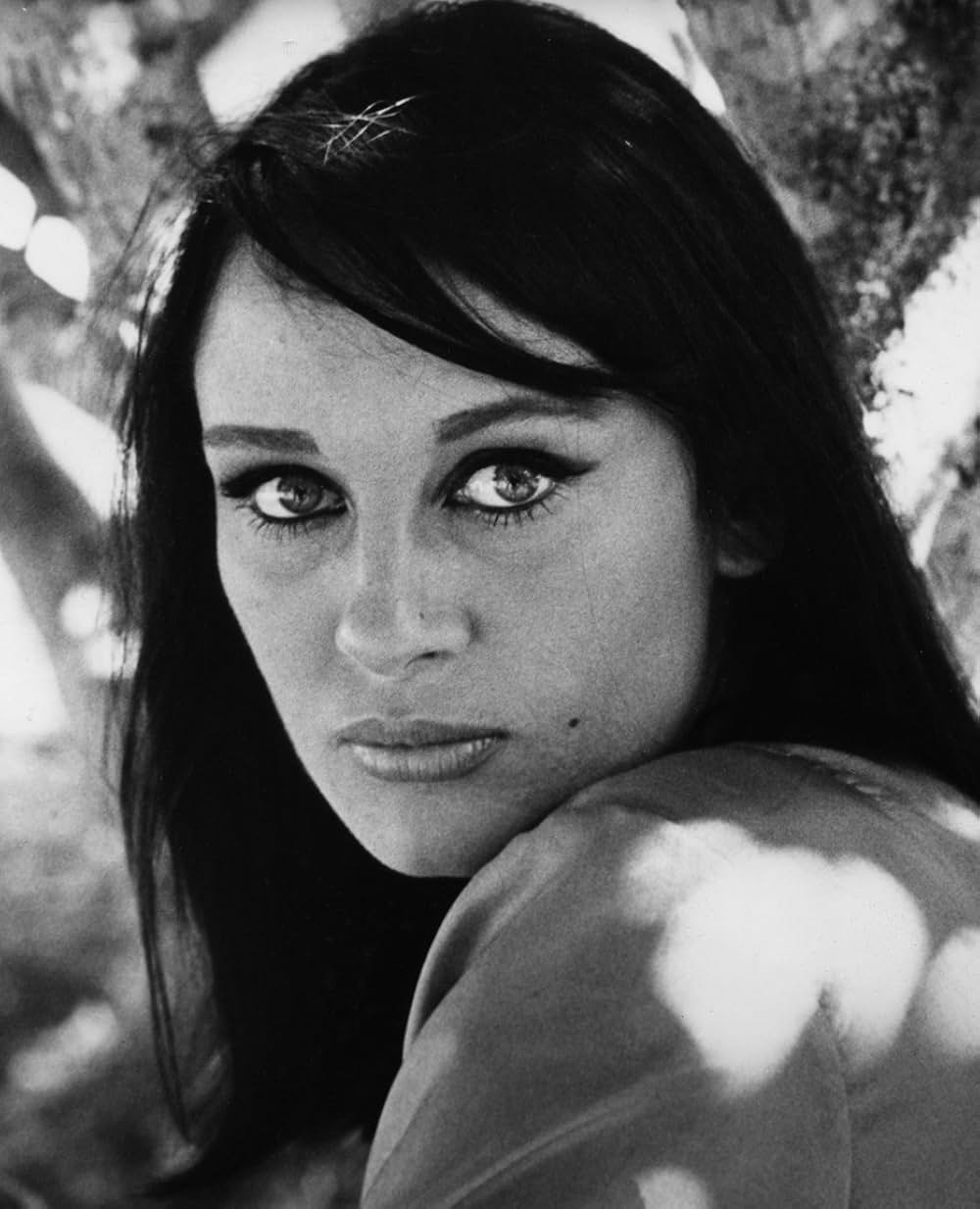 サハリ！の画像