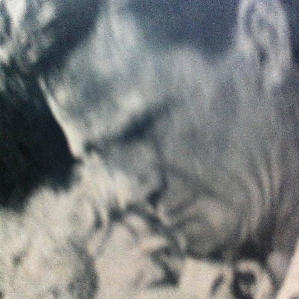 嵐に叛く女の画像