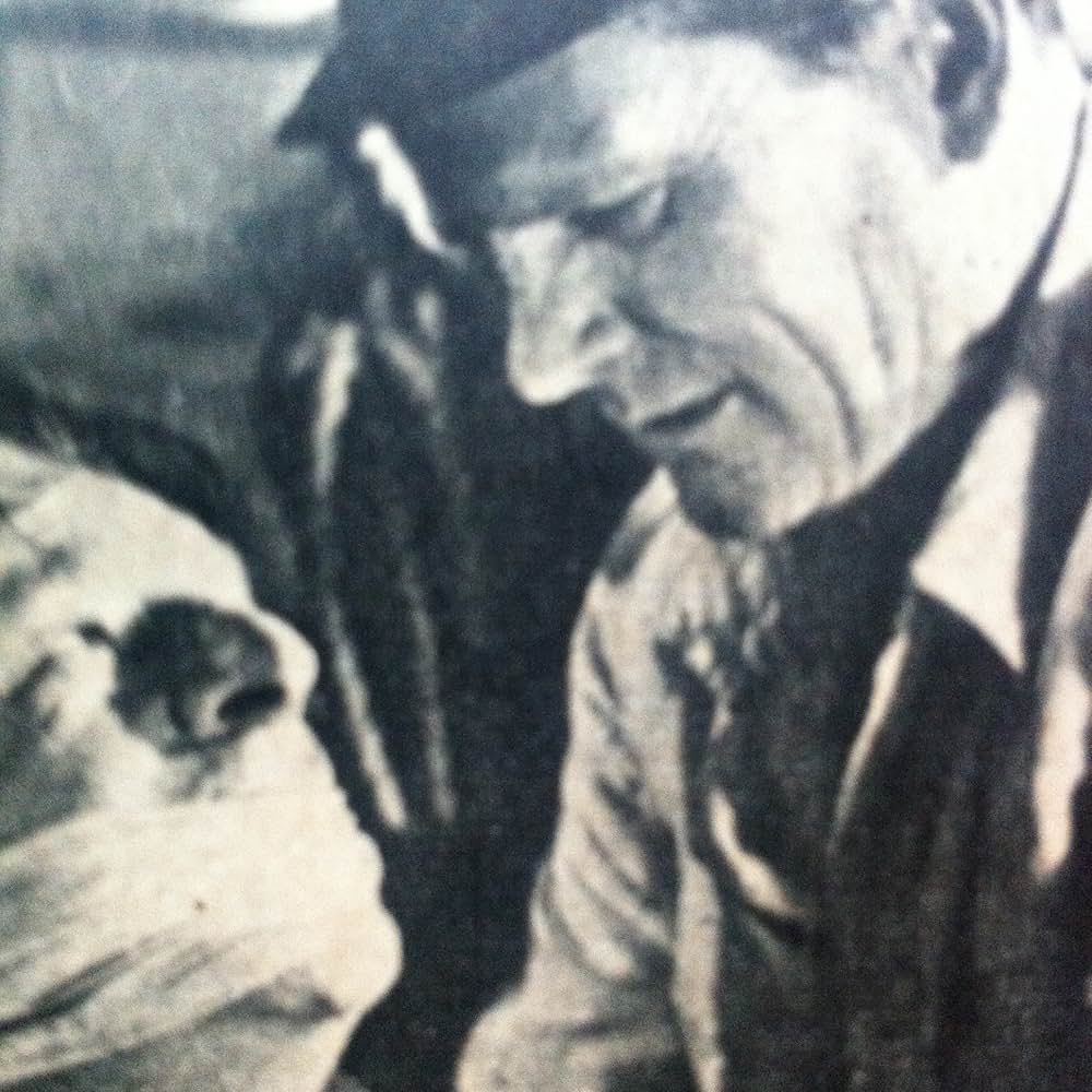 嵐に叛く女の画像