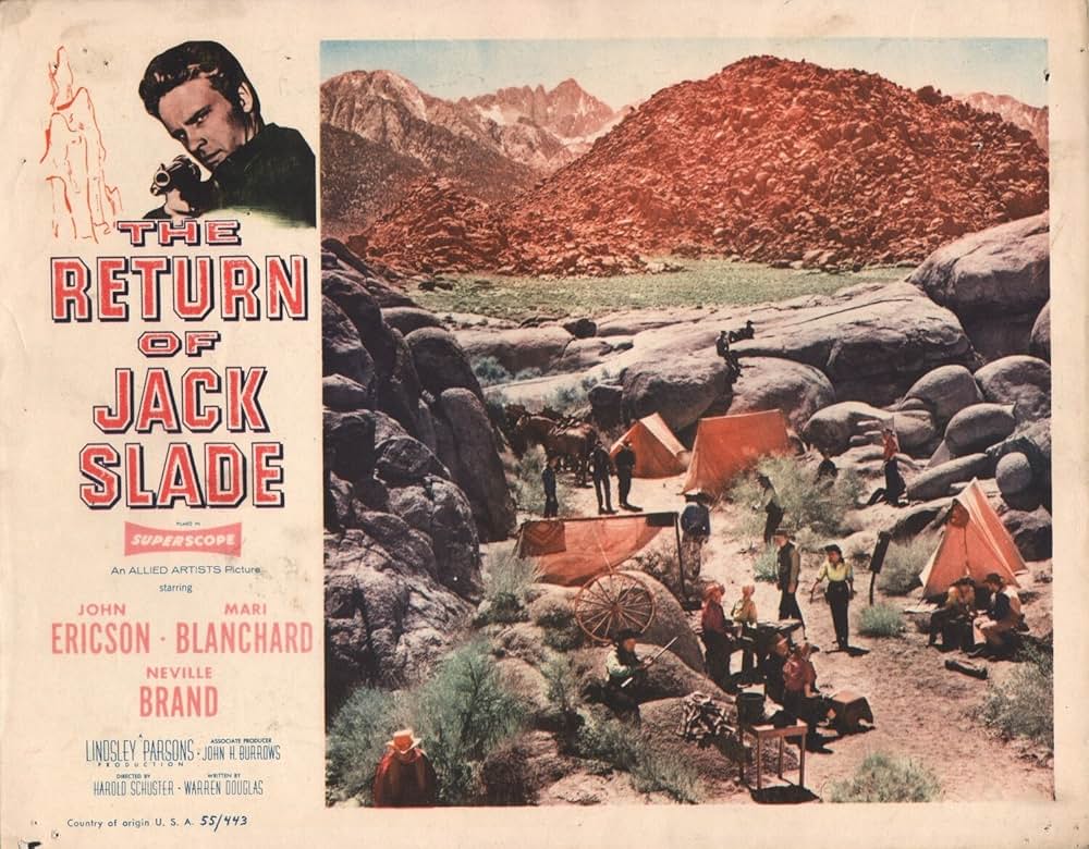 拳銃稼業の画像