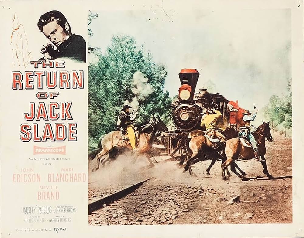 拳銃稼業の画像