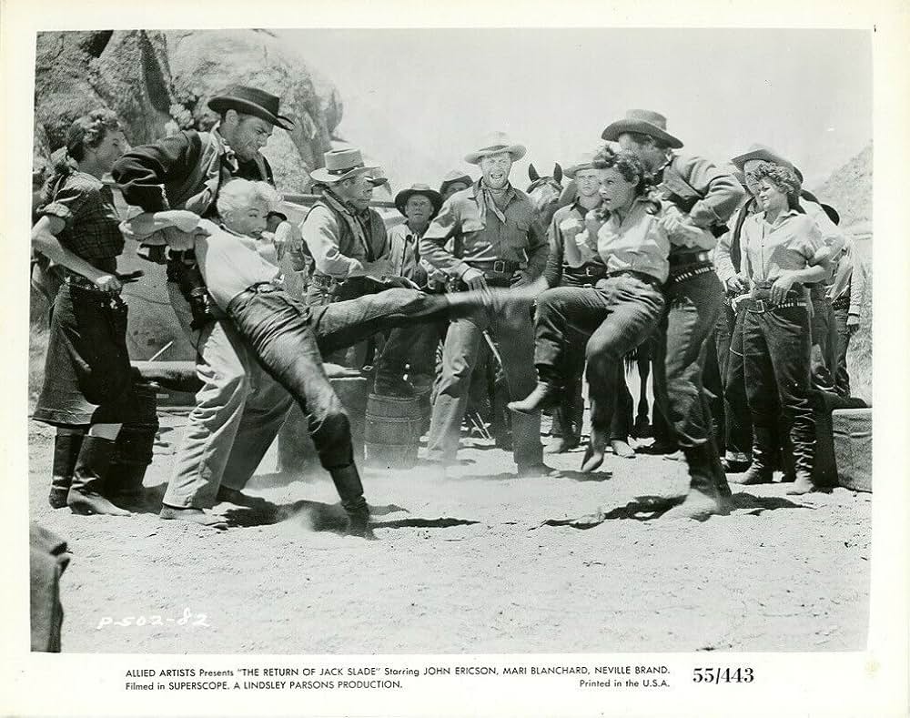 拳銃稼業の画像