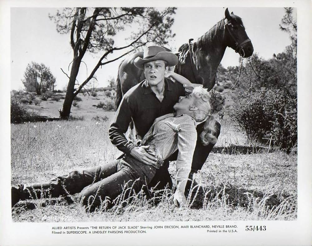 拳銃稼業の画像