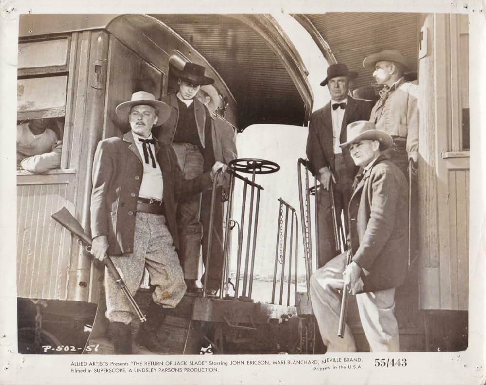 拳銃稼業の画像