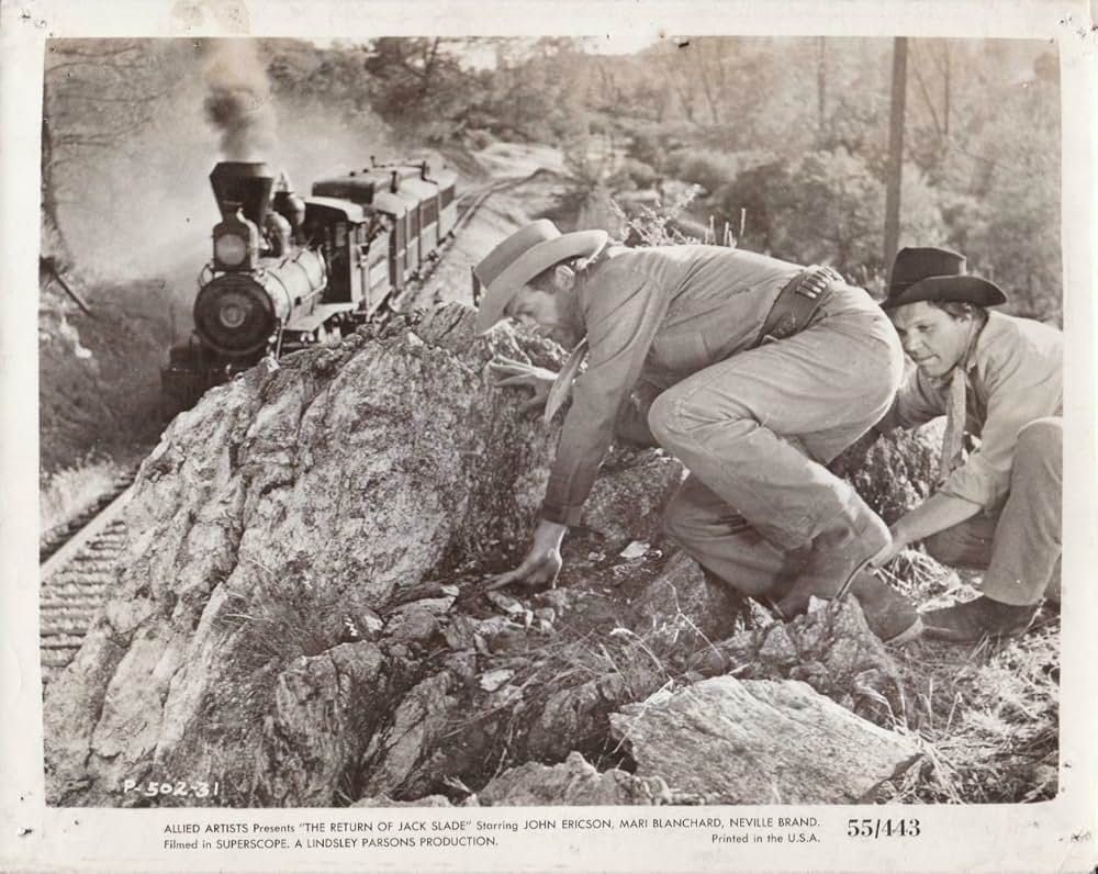 拳銃稼業の画像