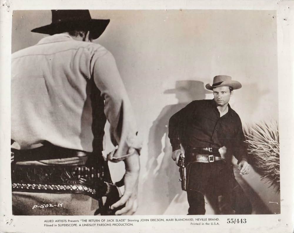 拳銃稼業の画像