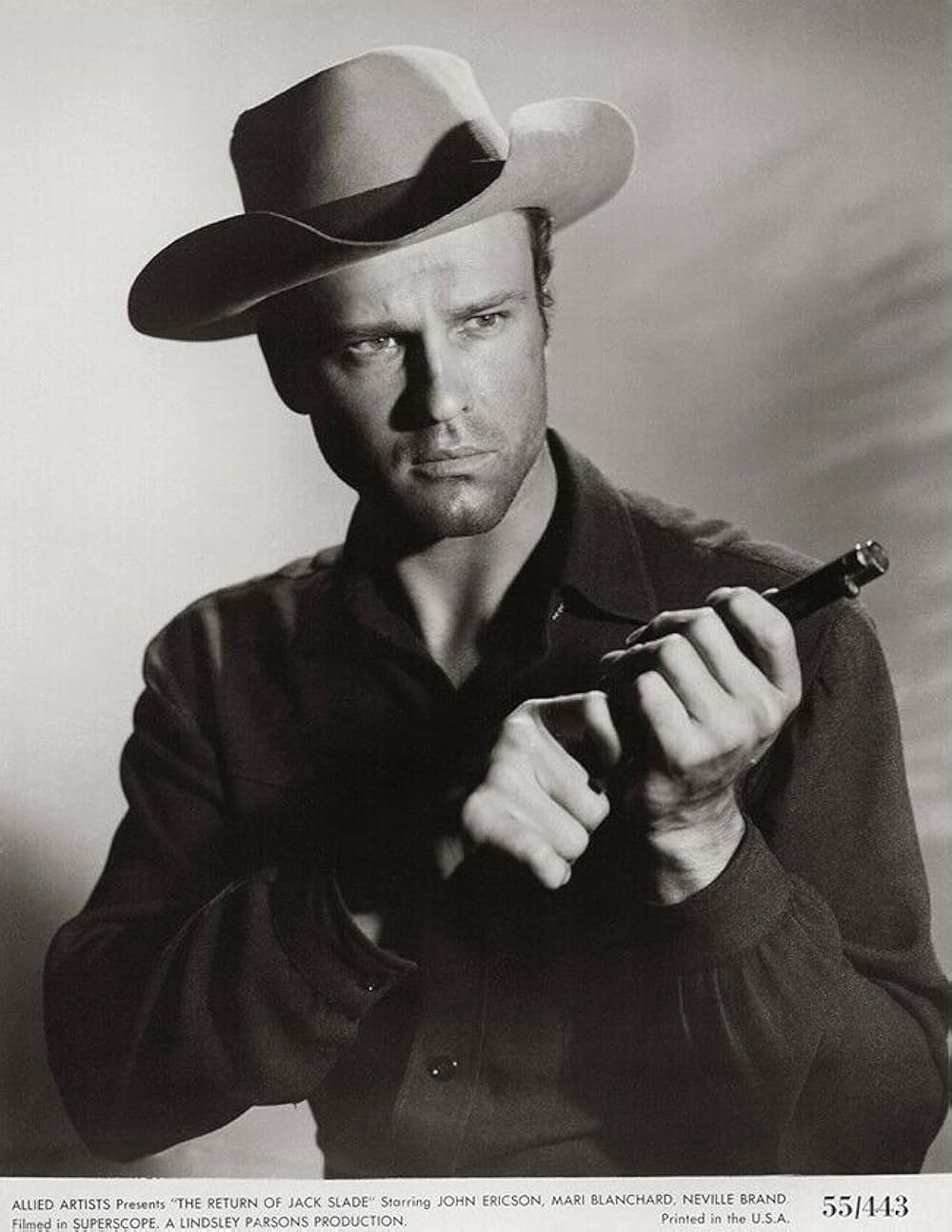 拳銃稼業の画像