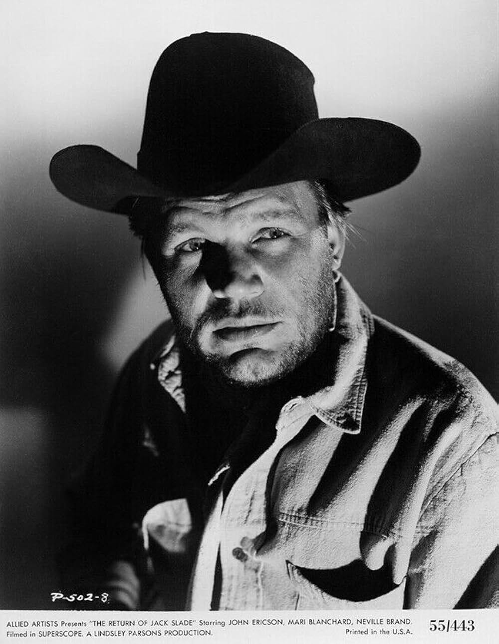 拳銃稼業の画像