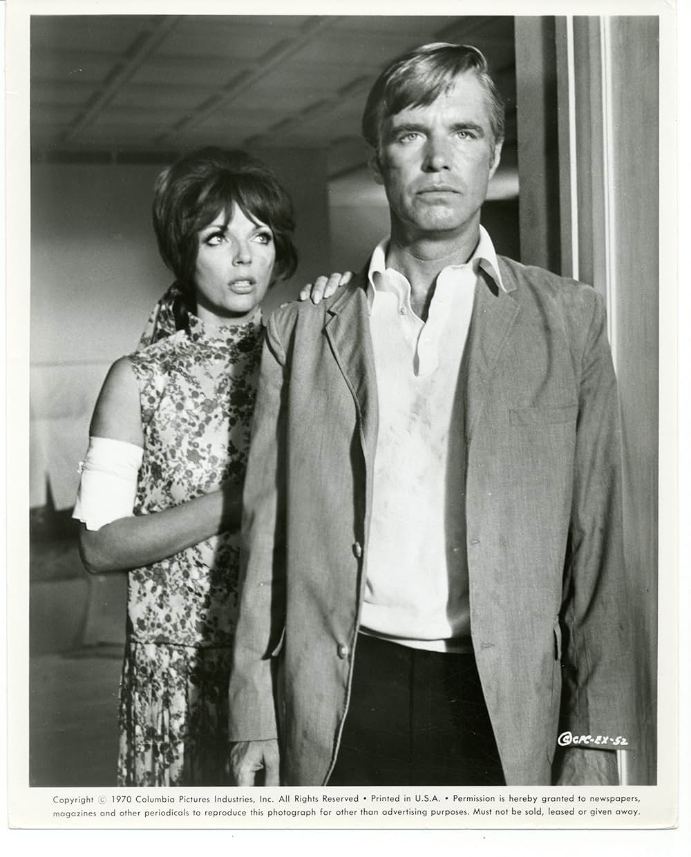 華麗なる暗殺の画像