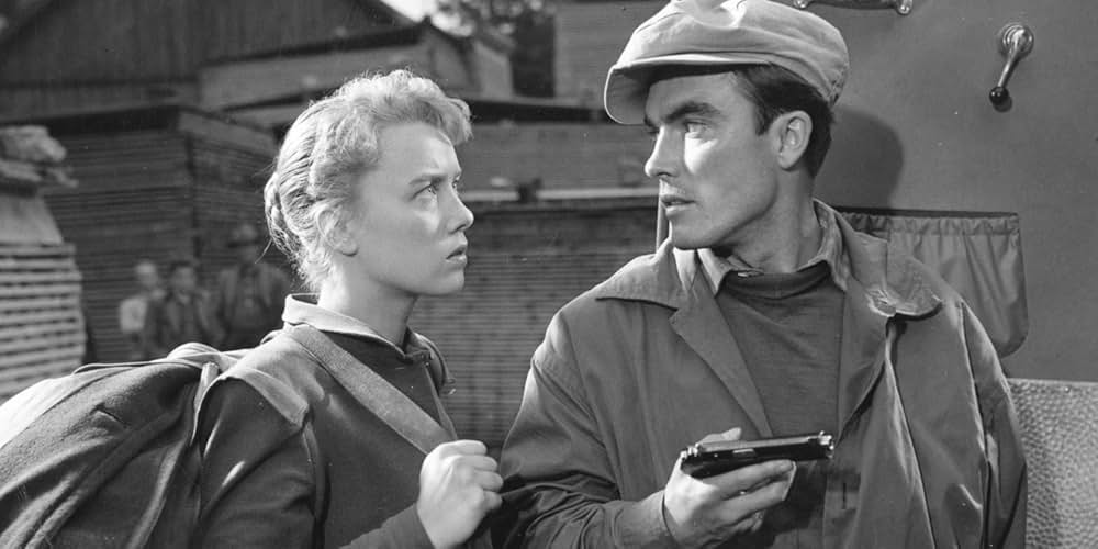 雨の夜の銃声の画像