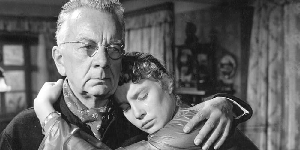 雨の夜の銃声の画像