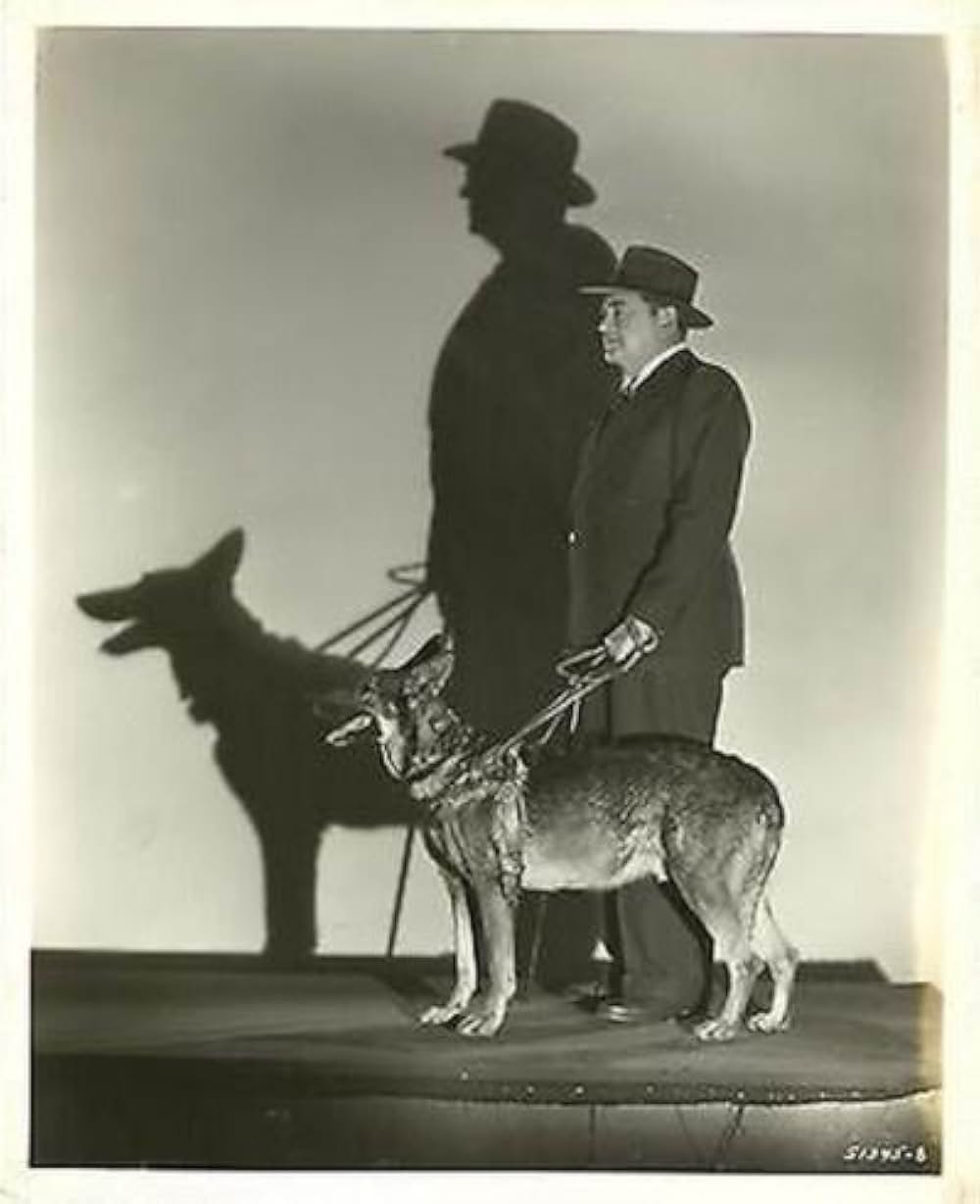 隠れた眼の画像