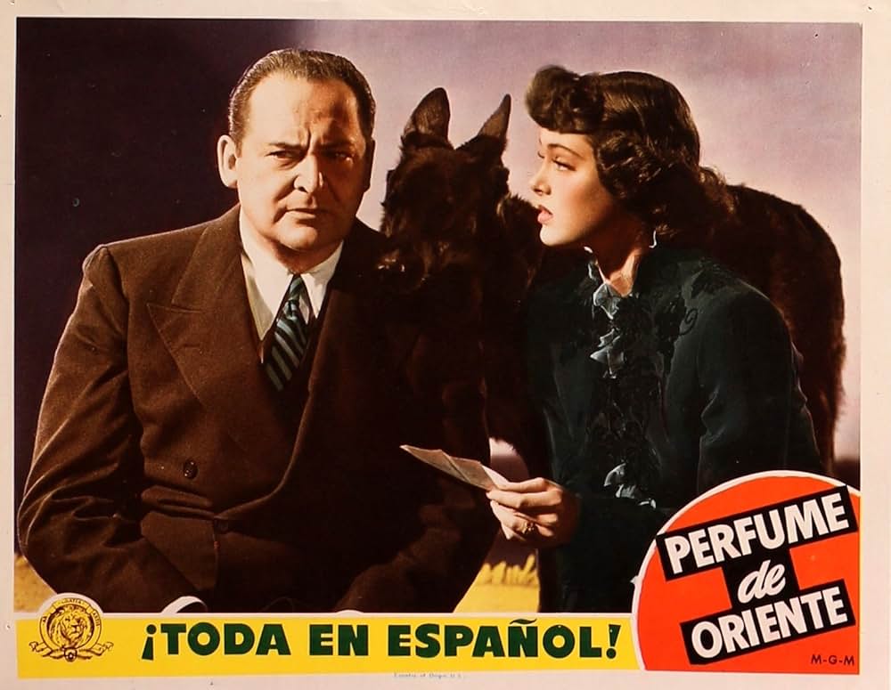 隠れた眼の画像