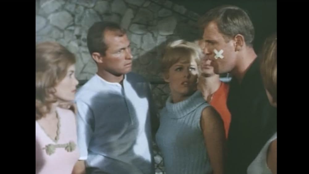 GO・GO・ビキニの画像