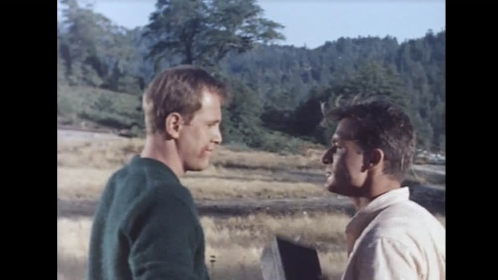 GO・GO・ビキニの画像