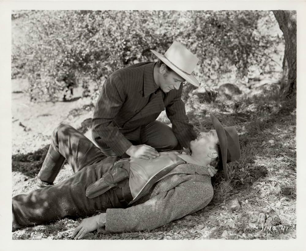 西部の顔役の画像