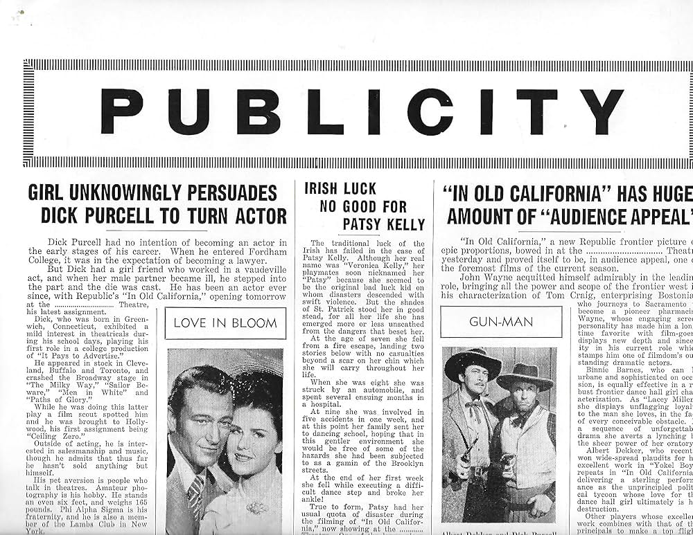 西部の顔役の画像