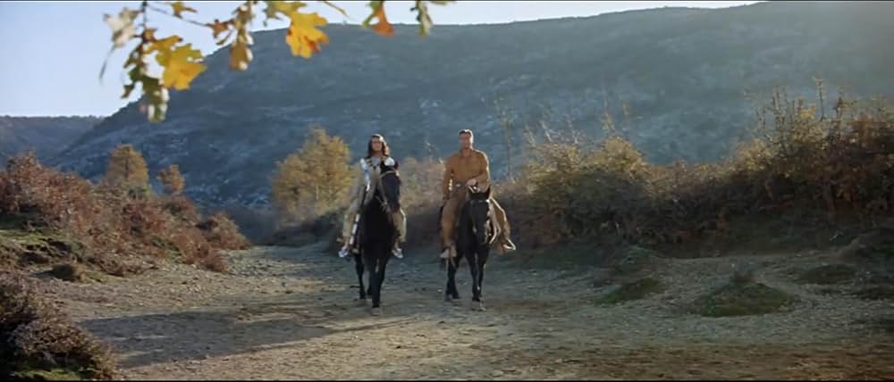 騎兵隊最後の砦の画像