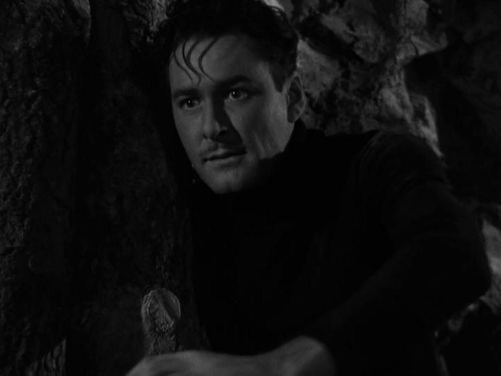 北部への追撃の画像