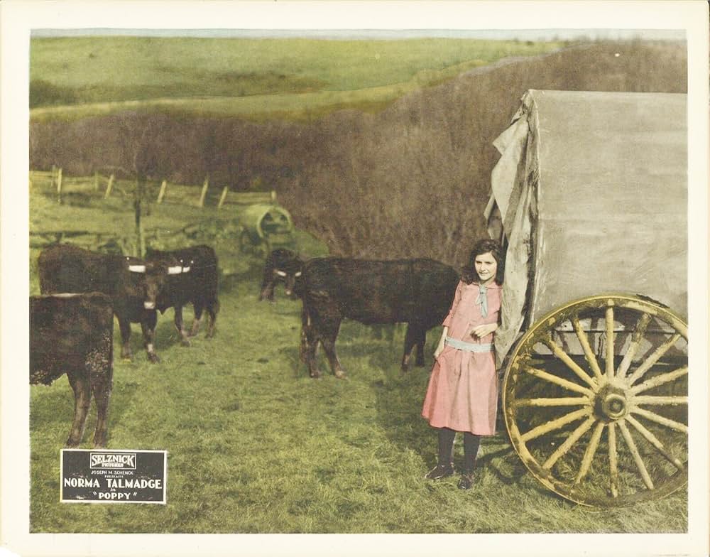 南瓜おやじの画像