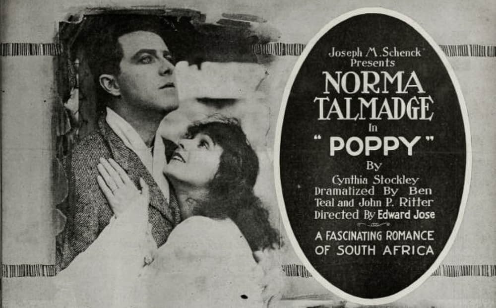 南瓜おやじの画像