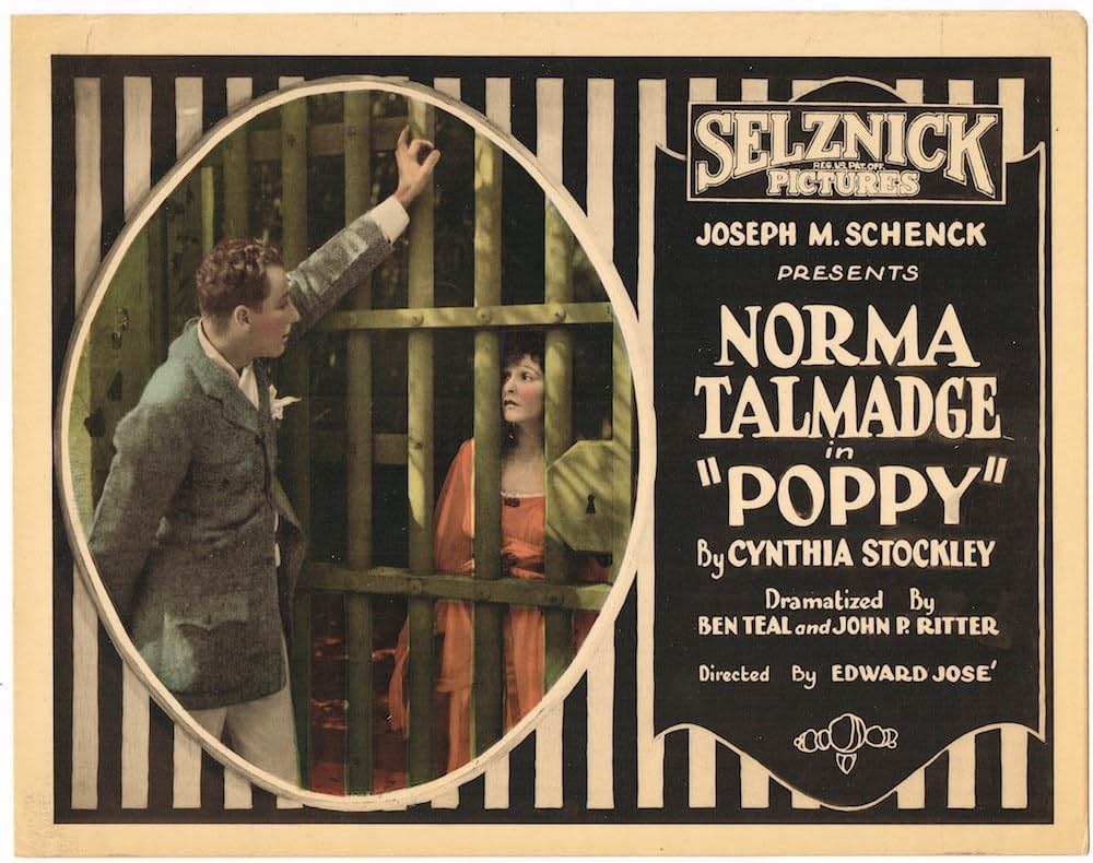 南瓜おやじの画像