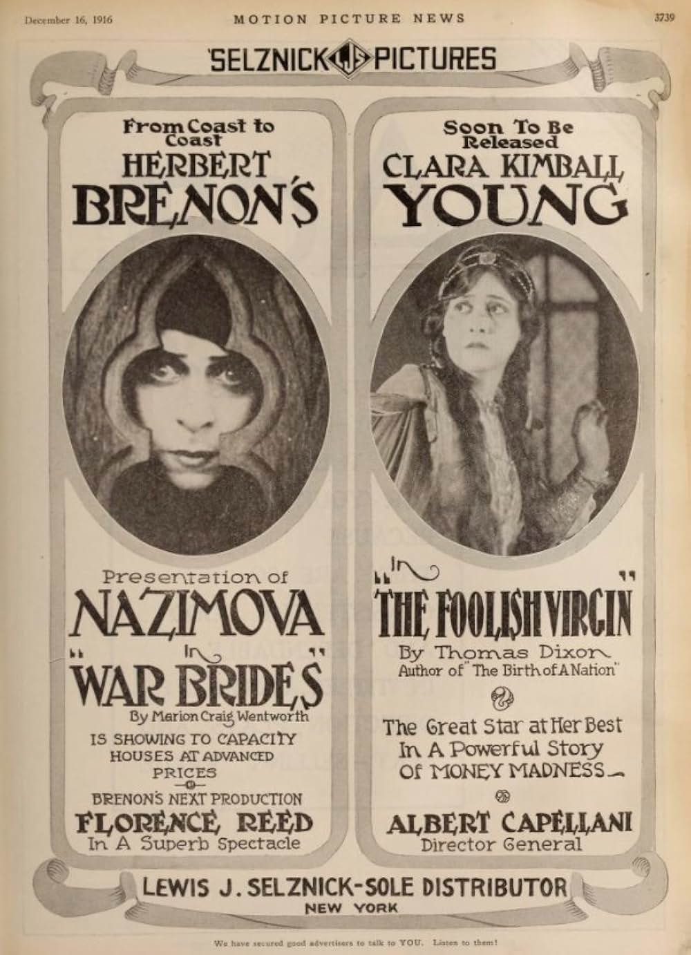 戦時花嫁の画像