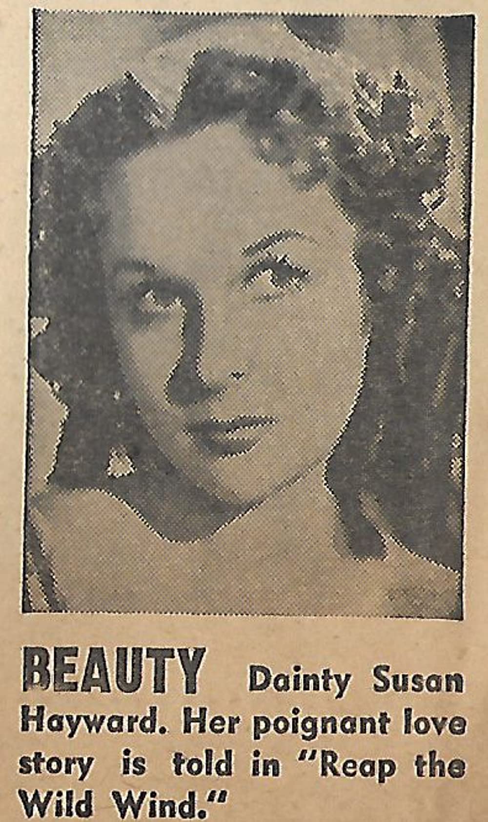 絶海の嵐の画像