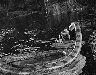 「ジャングル・ブック」サブーの画像