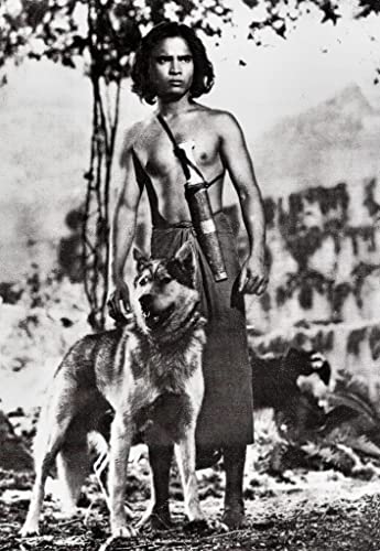 「ジャングル・ブック」サブーの画像